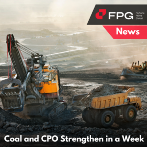 Coal and CPO Strengthen in a Week