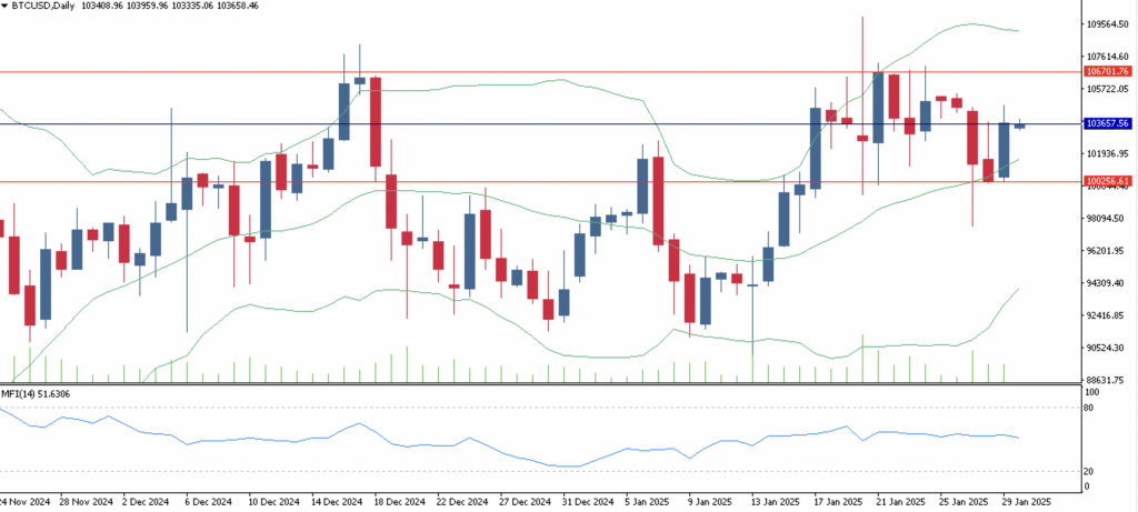 FPG BTCUSD Market Report